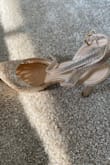 Fierria Champagne Rhinestone Pointed-Toe Ankle Strap Pumps