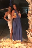 Loved this dress, super flattering and perfect for a summer night. The only thing I would change is getting a small as the top was a tad big on me. The color is beautiful. - Danielle K.