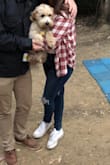 I wear these jeans all the time. It's so hard to find a pair of high wasited jeans that hits ABOVE the belly button. These are perfect. I've worn them to dinner, to a baseball game, camping, to bars, etc. - Julia M.