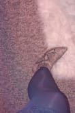 Love love LOVE these boots!! They are so comfortable to walk in. I get a lot of compliments wearing them! - Angel D.
