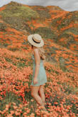 I love this dress! It's the perfect dress for spring and the colors are true to the pictures! It does run small and if you are on the taller side size up because it is very short! - Trisha S.