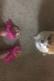 These are so cute and vibrant! I don't think they are made for long walks, but the suede-ish fabric is sort of stretchy. As another reviewer mentioned, you can untie the knot. Overall, I'm debating buying another pair... I love the pop of color! - Brandee H.