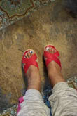 I really love these shoes. They are so gorgeous!! - Darlene
