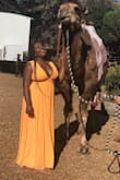 I wore this to a wedding and it was phenomenal. I love this dress - Abisha B.