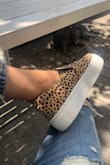 Okay these are SO cute and comfortable for the price. I'd say the fit is pretty average, and I love that they're casual but trendy and still give me some extra height! - Brittney B.