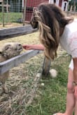 Love this dress! It was comfortable and lined. Not see through. Here is a cute lamb. - Melena M.