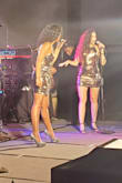 Great party dress. Sequins are small. Nice liner. Stretchy fabric. - Joanna S.