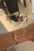 Pretty small and I like that it has a braided band, looks cute and simple for any day. I'm getting into more simpler pieces like this. - Lisa M.