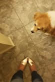 The perfect pair of loafers! I'll definitely have to buy more! - Wendy A.