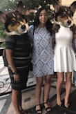 I originally bought this dress for a bridal shower in June. The material is light and it's a good length and was perfect for the occasion. I do wear this to work or to events. - Joan C.