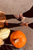 I am in love with these shoes. Cute for fall. :) - Lauren H.