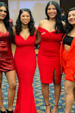 Needed a red dress for a show and bought this last minute - it worked perfectly! I will definitely be keeping :) - Ekta S.