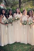 Bought these as bridesmaid dresses for the girls and they all looked incredible! - Melissa M.