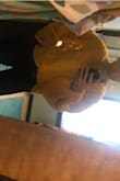 I LOVE THIS SWEATER SO MUCH!! It's legit like your walking sun shine. Absolutely adorable. I've worn it a few times and always get a compliment on it. - Kathleen K.
