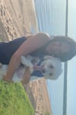 Loved wearing this to the beach and taking pics by the water and sunset. With one of my 7 dogs - Theresa B.