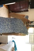 I am 26 weeks pregnant but still ordered the extra small. I am usually an extra small so I am hoping it will still fit me post pregnancy but I think it will! I probably would've been fine with a small too but the dress is pretty flexible and stretchy. The only place it runs a little small is under the arms. It is an adorable dress. Highly, highly recommend!!! - Elizabeth M.