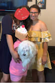 I'm 5 feet all and the dress is not short. The material of the dress is very comfortable, the strapless part doesn't fall and it keeps your bra stable. The sleeveless fall perfect and is very comfortable. The material has no stretch so my advice stick to your true size don't try to size down. - Jennifer S.