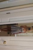 This dress is so pretty. The fabric is great. It doesn't wrinkle. The waist is big. - Andrea V.