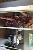 The fit is perfect. The length is perfect. It's very flown and comfortable. It'll be so perfect for our fall engagement shoot at sunset on the beach. - Julie B.