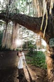 It is a very beautiful dress. I received a lot of compliments. - Malika K.