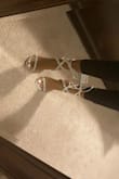 Super cute shoe! Sparkly without looking gaudy. Great find. - Camille M.