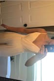 Love this outfit so much just wish they made it in the tall. Def was up my back and front. I also would need some tape to keep the top closed. Fits loose so don't need a larger size just longer! - Ashley C.