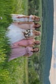 Wore this to my sisters May wedding, and I wasn't a bridesmaid, but needed to coordinate with my sisters bridesmaids for pictures. This dress was perfect! I felt beautiful and loved the fit. This dress feels tight at first around the middle (especially considering I've had 2 kids), but I felt kept in and the girls weren't going anywhere.  Of course I needed it hemmed, but that was no biggie. The only other thing I did was tack the flutter sleeves to the back strap for less slack. The original placement of the sleeve felt a little too wing-like for my liking. 10/10 recommend for special occasions or weekend girls trips! - Briana S.