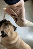 I fully expected these to be a "wear a couple of times & toss them quality", but they are not! They look rich in real life, feel solid on when I walk, & fit perfectly. - Gentry L.