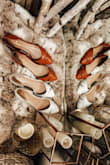 Absolutely love these shoes in both the Ivory and Tan colors! Stylish and classic, these flats will easily transition from summer to fall and from the office to evenings.

The fit was spot-on for sizing, but the heel can be a bit tight on the first few wears. Just be sure to wear them in a bit before trying to go all day or dancing all night and you should be fine.

All in all, these are a great pair of flats that pair great with any outfit and I've already received several compliments. Excited to wear them for work, weddings, date nights and more all year long!

Cheers - Jamie Lynn @browneyedlovely - Jamie O.