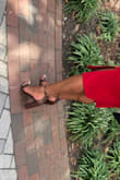 I wore these heels for graduation and they were perfect. Not too high but not like a kiddy heel. The extra padding on the heel was perfect to add more comfort in standing for a few hours. I think I wore them standing for about 4 hours before my feet started to hurt. I ordered a 9 and I usually wear a 9 in heels, they are true to size. - Carmen S.