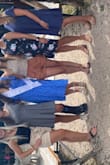 Wore this for my bachelorette weekend to the vineyards. Thinner material but not a super cheap material either. Felt very confident in it! Looks cute with both sneakers and wedges. Will definitely wear again and will consider in different colors! - Amber A.