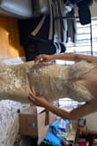 Love it for my prewedding photo!!!! It was very nice fabrics and I wasn't thinking to keep it after I bought it but after i tried it out I def wants to keep it!!! - Ka Y.