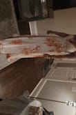 I wore this to a wedding and it flowed beautifully, I absolutely felt so stunning in it.
Great buy - Autumn D.