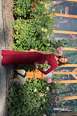 I wore this for a wedding and it was perfect! Love it! - Aulbree P.