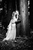 Beautiful dress, true to size. I wore this dress out in public for my wedding pictures. I've had many complaints. - Evelyn R.