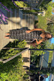 This dress was exactly what I needed for a black tie wedding. It fits perfectly and flatters your body regarding your body shape. Highly recommend it. It does shed a lot of glitter so make sure you give it a good shake before wearing it. - Monserrat H.