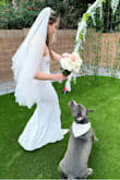 I decided to have a small backyard wedding after we renovated our home and backyard. I wanted a simple yet elegant dress that wasn't too much. This dress was amazing and really great quality. Complimented my figure and was easy to wear and prep by steaming. I'm very tall and it could have been longer but I opted for wedding flats as I didn't want to damage my new laid turf. - Emma J.