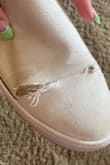 I got these shoes in January and by March they had completely fallen apart. And not just your regular wear and tear, they began to unravel. - Aubree T.