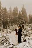 I have worn this dress to 2 elopement photo shoots. Our original elopement (Paris) was postponed due to covid, so we had photos in Washington State & then we were able to go to Paris 2 years later. I plan on wearing this dress again too for anniversary photos. This dress travels very well & holds up great in rain & snow! - Elizabeth T.