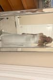 I bought this dress as a wedding back up. I was having some issues with alteration.
I didn't end up wearing this dress because my original dress worked out.
But this was gorgeous. The quality is amazing for the price. It for me perfectly and really flatters your figure.
I 100% recommend to those looking to save some money and still have a beautiful wedding dress - Danielle D.