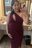 Love the dress! Bought in a large and a medium however, kept the medium as the large was too big on the breast area. Agree with other reviews the zipper was the most difficult part as it gets snagged in the fabric but got many compliments on the dress and was form fitting yet flattering and hides the Fupa for women who have a little belly. - Joanna M.