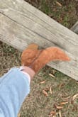 Absolutely love! These are my new fall/winter go-to boots. Perfect heel size and comfortable enough for every day / casual wear, but high quality & stylish enough to dress up. Fits true to size, and they don't pinch my toes (unlike other pointy-toe shoes I own). Definitely recommend!!!:) - Olivia C.