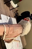And happy I did! They're so cute. Cold weather doesn't stop me from wearing heels so I thought these would be nice for cooler weather - Jennifer H.