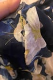 Didn't last one night at a wedding. Ripped down the seam on both sides and can't be repaired. There is another review with this same issue. This was my first purchase from Lulus and I'm terribly disappointed. - Natalie M.
