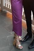 I bought these shoes to wear to a wedding. They looked amazing and were comfortable to wear dancing all night. I have 0 blisters! Only negative is they get banged up pretty easily. I found a bunch of dents and scratches on the heels at the end of the night. For the price these shoes are great. - Deanna K.