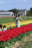 I got this dress for a mini photoshoot for spring and it was perfect, long enough so the wind wouldn't blow it up, and it hugged my body nicely! The color was just what I looking for. It fits true to size! - Angela I.