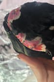 The dress is poorly made. Zipper is falling off. I literally JUST opened the package and there's thread coming out of the seams everywhere. The quality is giving SHEIN. I'm getting my next dress from Fashion Nova. I legit had this problem last year with a similar dress, and thought hey, let me try again with Lulus. What a waste - Mel S.