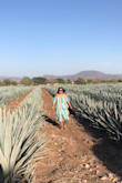 Loved the dress!! I wore it in Tequila, Mexico and it was a hit: I received soooo many compliments ! Super comfortable and bright! - Elva B.