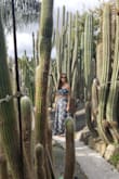I can't stop wearing this. It's lightweight, comfortable and so so cute! Sometimes I mix it up and wear white crop top or bodysuit with the skirt. - Angela G.