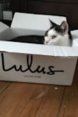 Well the shoes fit perfectly and so do these fans who love Lulus also. - Sheena S.